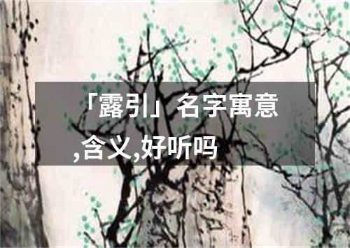 「露引」名字寓意,含义,好听吗