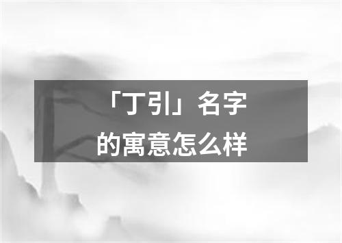 「丁引」名字的寓意怎么样