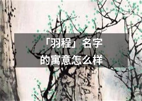 「羽程」名字的寓意怎么样