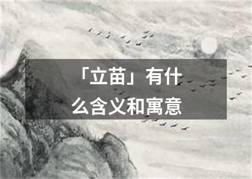 「立苗」有什么含义和寓意