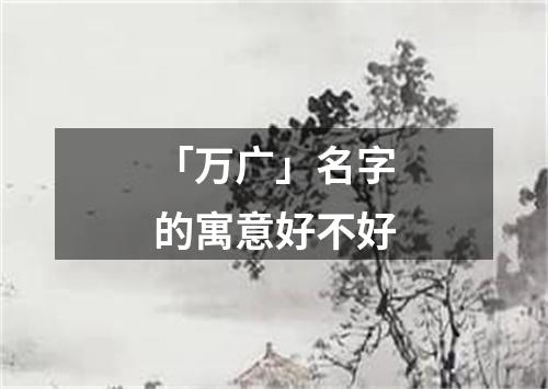 「万广」名字的寓意好不好