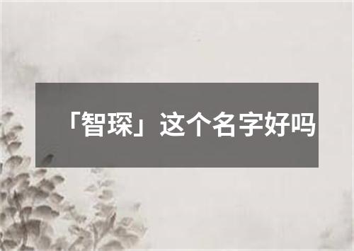 「智琛」这个名字好吗