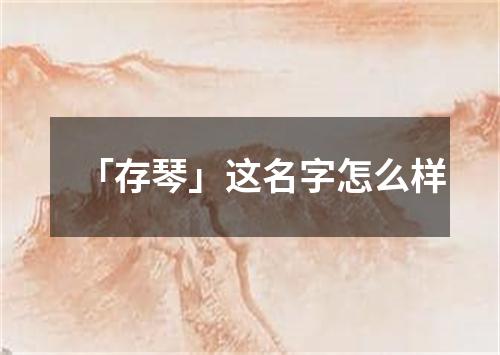 「存琴」这名字怎么样