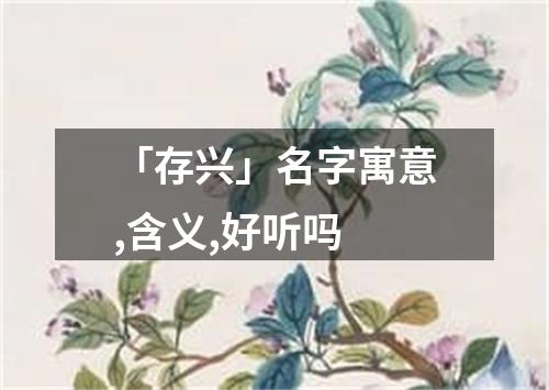 「存兴」名字寓意,含义,好听吗