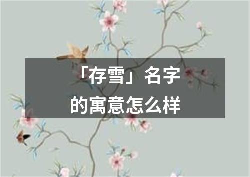 「存雪」名字的寓意怎么样