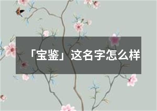 「宝鉴」这名字怎么样