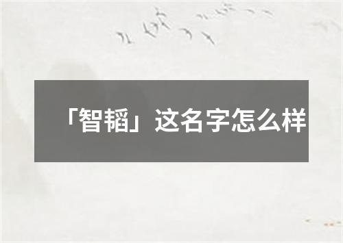 「智韬」这名字怎么样