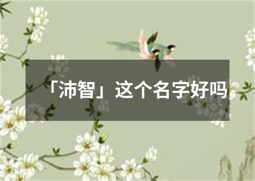 「沛智」这个名字好吗