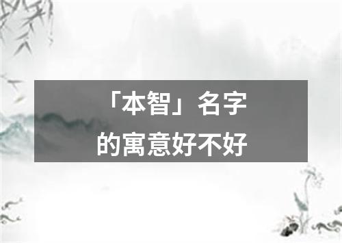 「本智」名字的寓意好不好