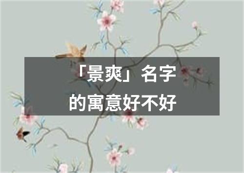 「景爽」名字的寓意好不好