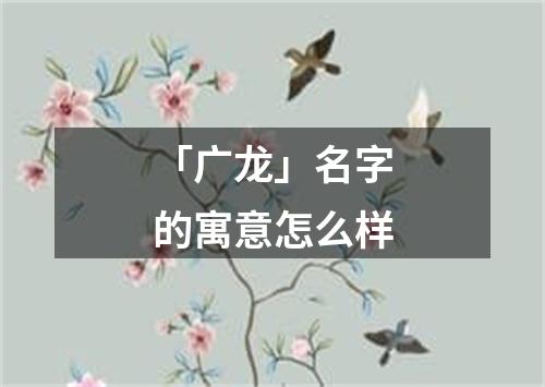 「广龙」名字的寓意怎么样