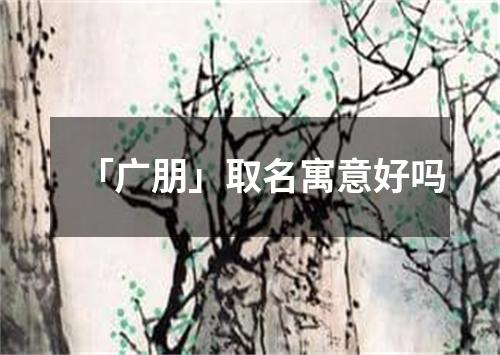 「广朋」取名寓意好吗