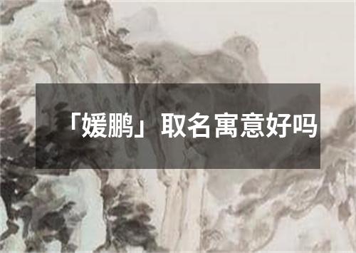 「媛鹏」取名寓意好吗