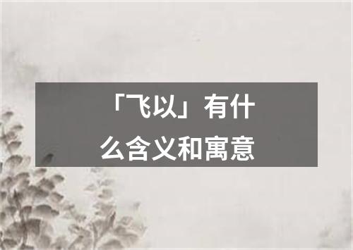 「飞以」有什么含义和寓意