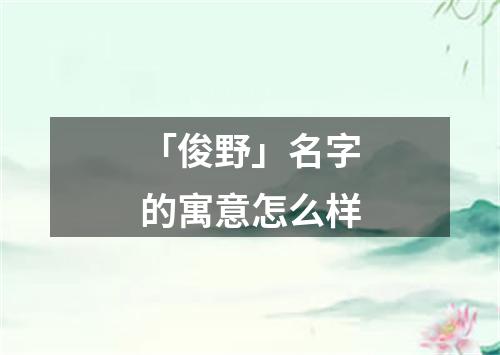 「俊野」名字的寓意怎么样