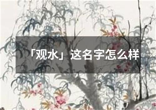 「观水」这名字怎么样