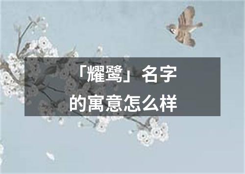 「耀鹭」名字的寓意怎么样