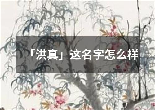 「洪真」这名字怎么样