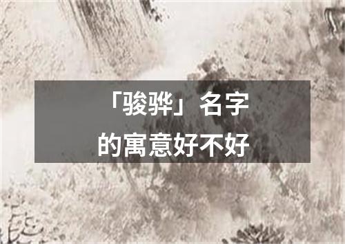 「骏骅」名字的寓意好不好