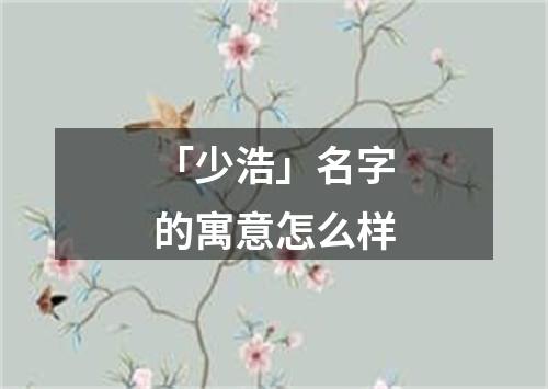 「少浩」名字的寓意怎么样