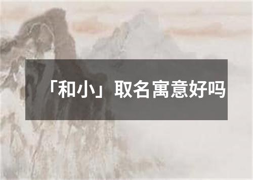 「和小」取名寓意好吗