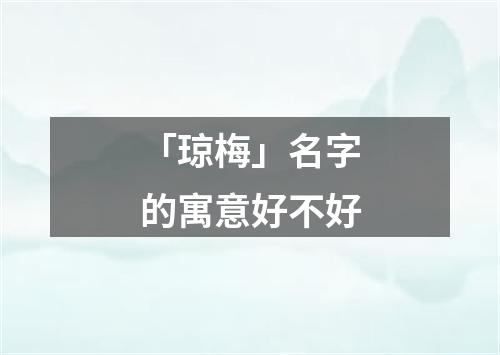 「琼梅」名字的寓意好不好