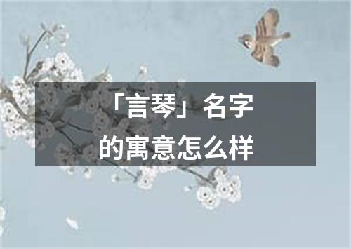 「言琴」名字的寓意怎么样