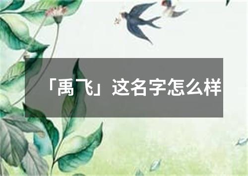 「禹飞」这名字怎么样