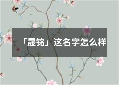 「晟铭」这名字怎么样