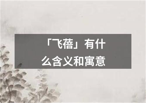 「飞蓓」有什么含义和寓意