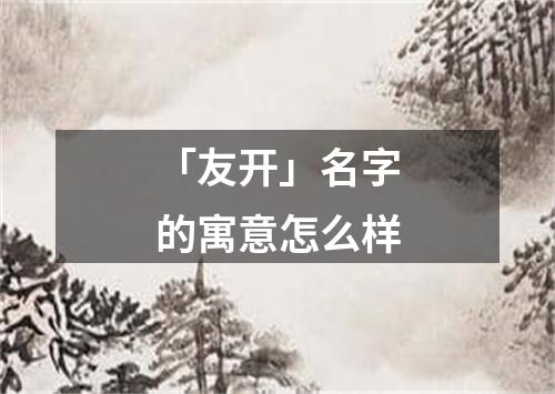 「友开」名字的寓意怎么样