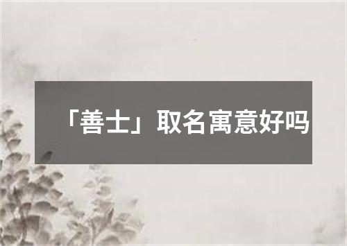 「善士」取名寓意好吗