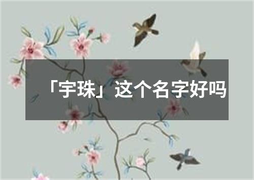 「宇珠」这个名字好吗