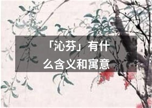 「沁芬」有什么含义和寓意