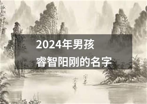 2024年男孩睿智阳刚的名字