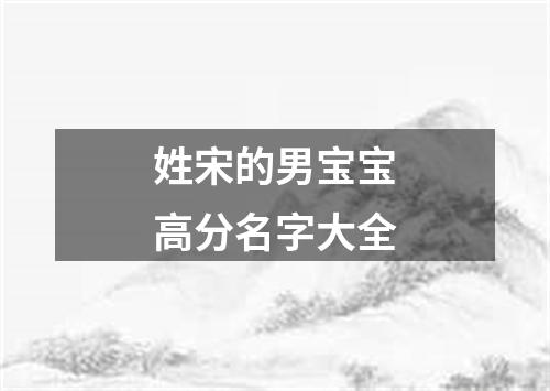 姓宋的男宝宝高分名字大全