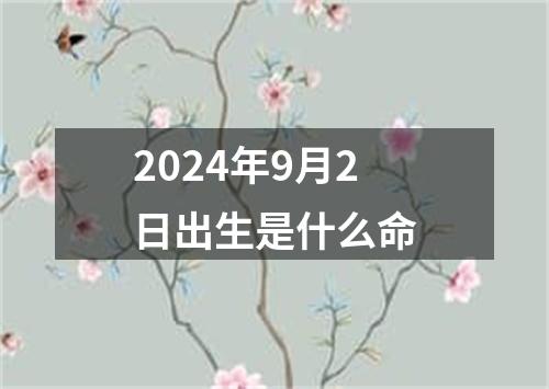 2024年9月2日出生是什么命