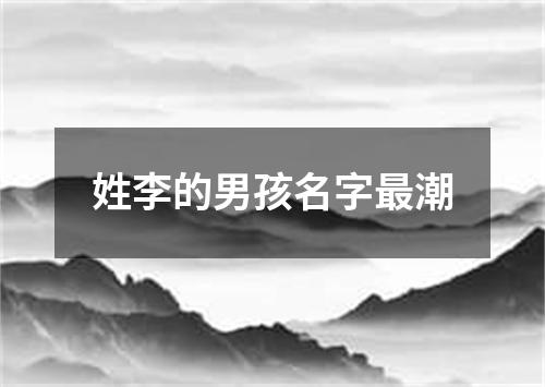 姓李的男孩名字最潮