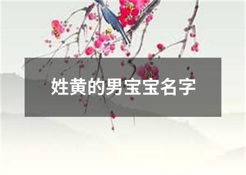 姓黄的男宝宝名字