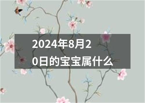 2024年8月20日的宝宝属什么