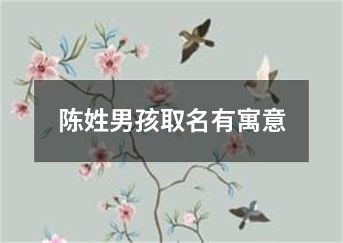 陈姓男孩取名有寓意