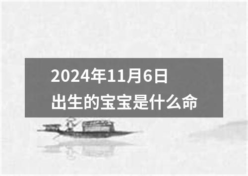 2024年11月6日出生的宝宝是什么命