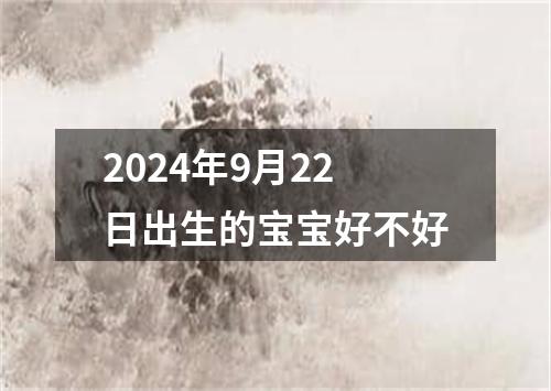 2024年9月22日出生的宝宝好不好