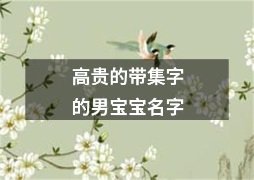 高贵的带集字的男宝宝名字