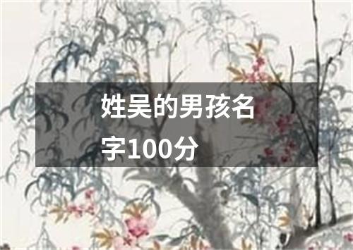 姓吴的男孩名字100分