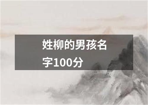 姓柳的男孩名字100分