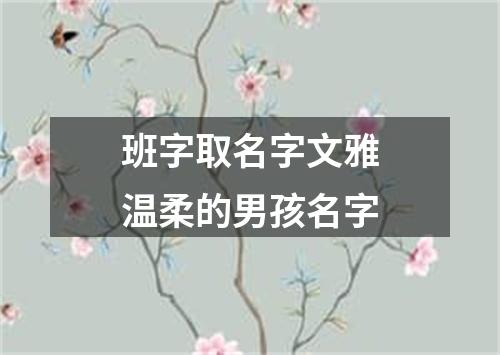 班字取名字文雅温柔的男孩名字