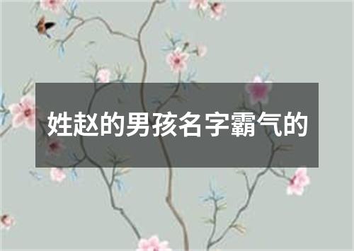 姓赵的男孩名字霸气的