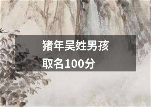 猪年吴姓男孩取名100分