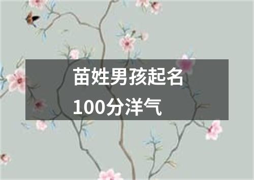 苗姓男孩起名100分洋气